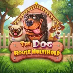 The Dog House Multihold gra w Ritzo Casino dla graczy z Polski The Dog House Multihold gra w Ritzo Casino dla graczy z Polski
